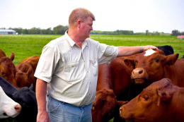 farm_4.jpg