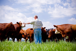 farm_5.jpg