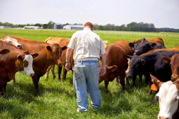 farm_6.jpg