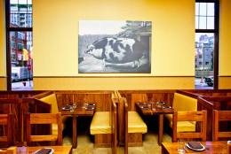 food_12.jpg